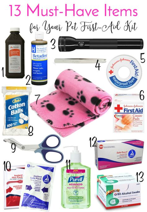 Pet First Aid Kit, Rattus Rattus, Pet First Aid, Kat Diy, Dog Health Tips, Dog Info, Dog Care Tips, Pet Hacks, Aid Kit