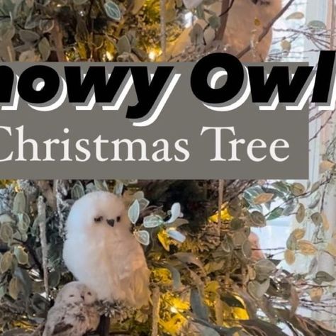 🌸 Mary Ann ~ Seasonal Home & Garden Tips. on Instagram: "Have you ever seen a white Snowy Owl Christmas Tree? ⤵️ . 🦉 If you love nature, birds and the beauty of winter. This Christmas tree has a bit of all those things and perfect for you! . 🦉 Decorating ideas to create this Christmas Snowy Owl Tree: . 1️⃣ Statement piece: . 🌲 Branches from the woods. The perfect spot for the owls to perch and peek out of. . 🌲 These branches where from a tree that died in your yard. I didn’t want them to go to waste. It’s the perfect centerpiece for this tree. . 2️⃣ Create a topper: . 🦉 Using more branches from the outdoors. . 🦉 You can also add artificial flocked branches. . 3️⃣ Christmas Decorative stems and florals: . 🌲 Add iced/glittered artificial evergreen stems throughout the tree for fullne Owl Theme Christmas Tree, Christmas Tree Birds Theme, Owl Tree Topper Christmas, Owl Christmas Tree Ideas, Tree Branch Christmas Tree, Owl Christmas Tree Topper, Owl Tree Topper, Christmas Owls Decorations, Owl Christmas Tree