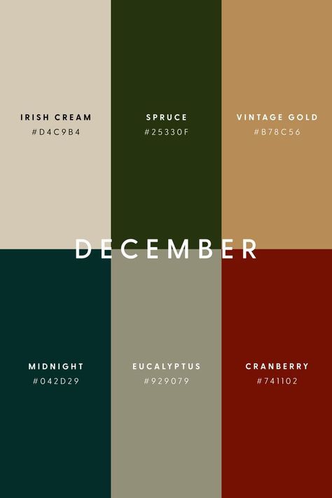 Rgb Palette, Christmas Color Palette, Color Design Inspiration, Hex Color Palette, Palette Design, Color Schemes Colour Palettes, Inspire Me Home Decor, Brand Color Palette, Color Palate