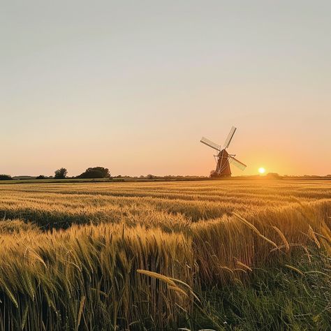 Sunset Windmill Scene: A tranquil windmill overlooks a golden wheat field during a breathtaking sunset in the countryside. #sunset #windmill #wheat #field #countryside #aiart #aiphoto #stockcake ⬇️ Download and 📝 Prompt 👉 https://ayr.app/l/iT9d Fox Oc, Sunset Countryside, Golden Wheat Field, Farm Windmill, Farm Field, Golden Wheat, Wheat Field, Scene Image, Wheat Fields