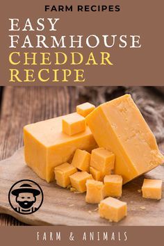 Sustainable Food Recipes, Cheese Recipes Homemade, Cheddar Recipes, Cheddar Cheese Recipes, Cheese Making Recipes, Farm Recipes, Recipes Cheese, Goat Milk Recipes, Cheese At Home