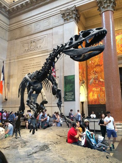 American Museum of Natural History (New York City): Top Tips Before You Go - TripAdvisor Natural History Museum Nyc, Family History Projects, Manhattan Island, Museums In Nyc, Nasa History, Museum New York, American Museum Of Natural History, Welcome To New York, New York Museums