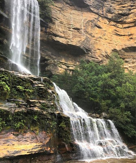 15 Best Walks in the Blue Mountains | Sydney Uncovered Waterfall Wedding, Mountain Waterfall, Cascade Waterfall, Hiking Guide, Victoria Falls, Fall Hiking, The Blue Mountains, Blue Mountains, Travel Australia