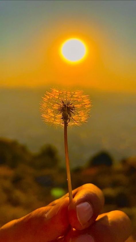 Pretty Sun Pictures, Sun People Aesthetic, Ball Of Sunshine Aesthetic, Sun Rising Wallpaper, Aesthetic Sunshine Pictures, Soleilcore Aesthetic, Lori Core Aesthetic, Sun Pics Aesthetic, Sun Athestic