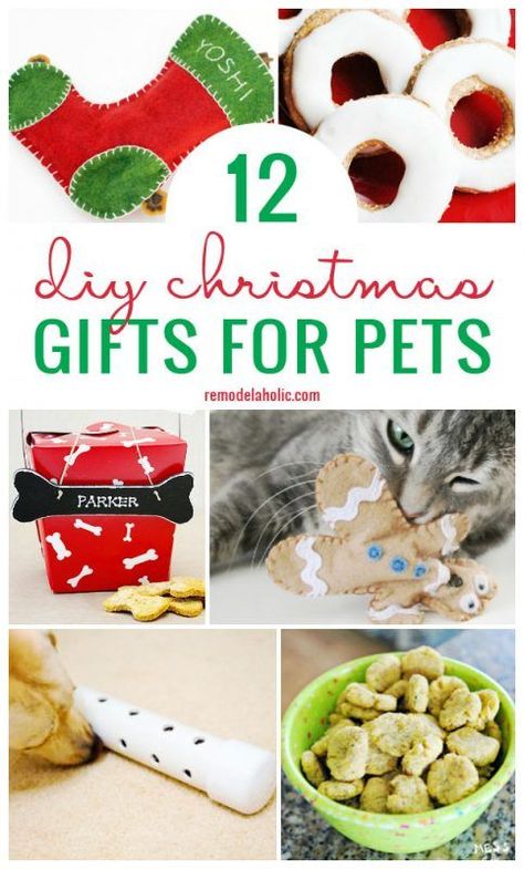 Christmas time is a great time to let your pets know you care. Create on of these 12 DIY Christmas Gifts for Pets to let them know you love them featured on Remodelaholic.com Ella Bella, Cat Tips, Christmas Gifts For Pets, Dog Things, Holiday Dog, Homemade Cat, Dog Christmas Gifts, Animal Projects, Diy Dog