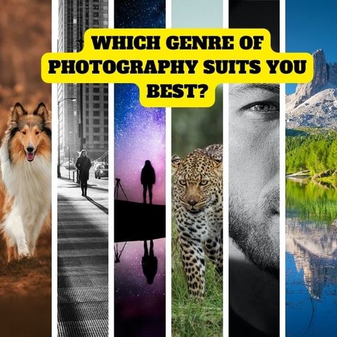 Discover Your Photographic Style: Which Genre of Photography Suits You Best? [Quiz] Britney Spears Justin Timberlake, Photos Of Celebrities, Photography Genres, Fun Photography, Ralph Macchio, Richard Gere, Boy George, Fun Quiz, Online Photography