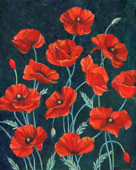 Red Things To Paint, Jewel Tone Painting, Paintings Of Poppies, Poppy Oil Painting, Remembrance Day Poppy Art, Joyful Artwork, Poppy Artwork, Paint Poppies, Poppies Photography