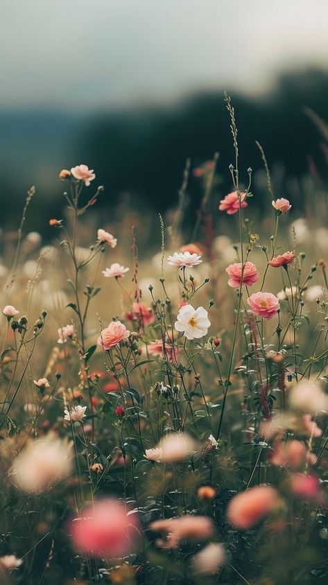 Wildflower Wallpaper Aesthetic, June Asthetic Wallpers, Pretty Summer Wallpapers, Field Wallpaper Aesthetic, Phone Backgrounds Spring, Vintage Summer Aesthetic Wallpaper, Wildflower Wallpaper Iphone, Softness Aesthetic, Ipad Home Screen Wallpaper Aesthetic