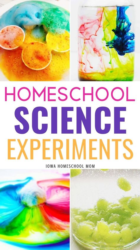 Easy 3rd Grade Science Experiments, Alka Seltzer Experiment Kids, Pride Activities, Science Corner, Candy Science Experiments, Homeschooling Elementary, Homeschool Science Experiments, Science Experiments Kids Easy, Candy Science