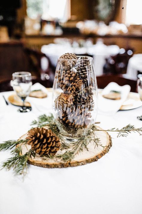 Pine cone bird feeder