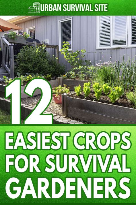 Survival Garden, Garden Prepping, Backyard Design Ideas Budget, A Lot Of Food, Homegrown Food, Small Backyard Designs Layout, Summer Porch, Survival Gardening, Smart Garden