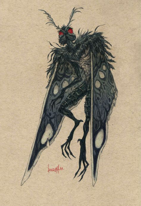 mothman cryptid Mothman Art, The Mothman, Moth, Sketch, Tumblr