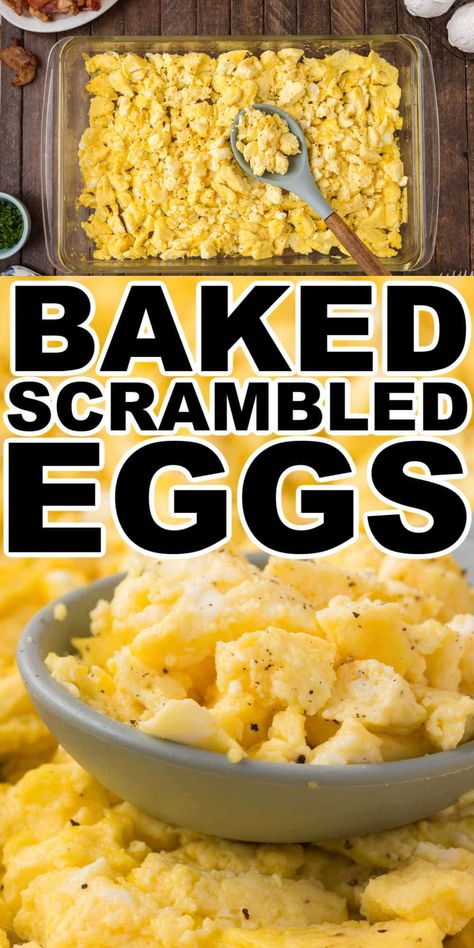 Oven baked scrambled eggs give you fluffy scrambled eggs every time. Simple prep, and easy cooking this oven baked scrambled eggs recipe is perfect for making breakfast or brunch for a crowd. Crockpot Scrambled Eggs, Baked Scrambled Eggs, Scrambled Egg Bake, Oven Scrambled Eggs, Brunch For A Crowd, Microwave Scrambled Eggs, Breakfast Finger Foods, Easy Scrambled Eggs, Oven Baked Eggs