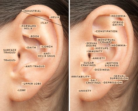 Ear Acupuncture Points Piercing, Ear Piercings To Help Migraines, Ear Piercing Benefit Chart, Piercing Benefits Chart, Ear Pressure Points Piercing, Piercing That Helps With Headaches, Where To Pierce Your Ear, Ear Piercings For Health, Ear Piercings For Headaches