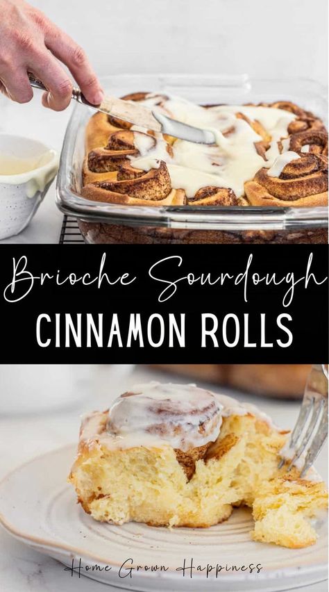 These brioche sourdough cinnamon rolls are super soft and fluffy, filled with sweet cinnamon sugar, and topped with a cream cheese glaze. They’re made with a buttery and soft sourdough brioche dough that becomes so fluffy and tender. Brioche Sourdough, Sourdough Brioche, Brioche Dough, Sourdough Cinnamon Rolls, Cream Cheese Glaze, Home Grown, Cinnamon Sugar, Cinnamon Rolls, Cream Cheese