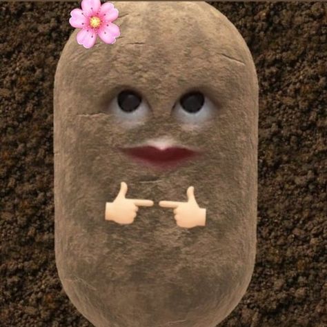 Pp Fb, Profile Picture Ideas Funny, Potato Picture, Cute Background Pictures, Potato Funny, Bff Hands Aesthetic, Cute Cartoon Images, Cute Jokes, Jokes Pics