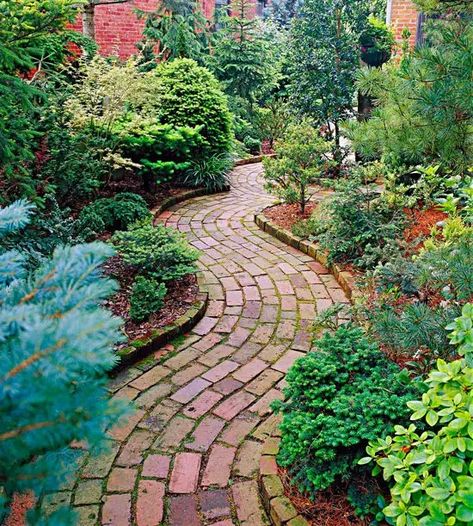 Garden Paths And Walkways, Brick Pathway, Brick Projects, Edging Plants, Walkway Design, Brick Path, Modern Front Yard, Brick Walkway, Best Home Design