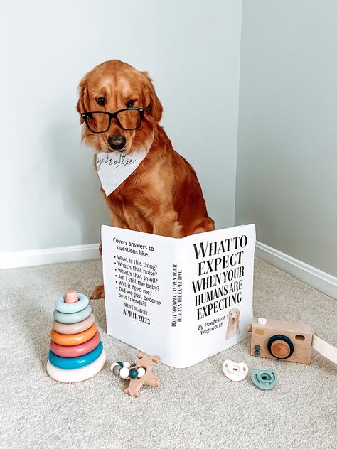 #dog babyannouncement #baby #goldenretriever #puppy Dog Wedding Announcement, Second Dog Announcement, Dog Puppy Announcement, Promoted From Dog Grandparent, Dog Having Puppies Announcement, Dog Themed Gender Reveal, Dog Baby Announcing Ideas, Dog Announcement Pregnancy, Dog Big Brother Announcement