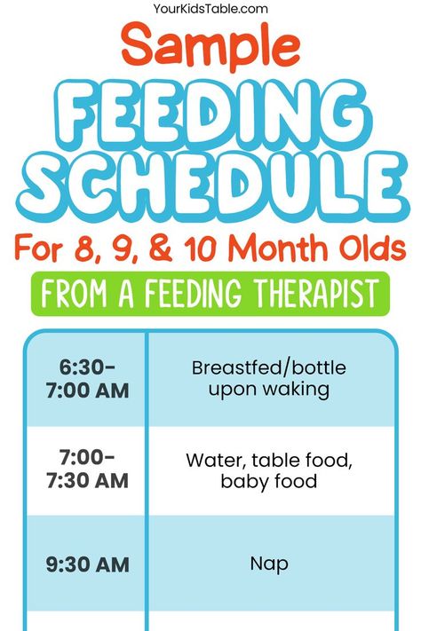 A complete feeding schedule for 8, 9, and 10 month old babies. Plus tips for transitioning to finger foods for an eating schedule with formula or breastmilk. Baby Solid Food Schedule, 8 Month Old Schedule, 9 Month Old Schedule, Baby Eating Schedule, 10 Month Old Baby Food, 9 Month Old Baby Food, 8 Month Old Baby Food, Food Schedule, How Much Formula