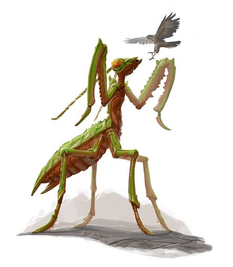 Giant praying mantis for Legendary Games by MichaelJaecks Swamp Creature, Ark Survival Evolved, Fantasy Beasts, Praying Mantis, Interior Illustration, Monster Concept Art, Dungeons And Dragons Characters, Mythical Creatures Art, Prehistoric Animals