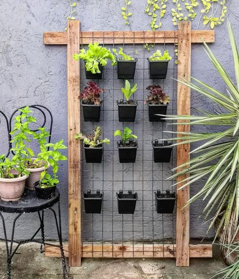 Wall Garden Ideas Outdoor Hanging Herbs, Green Wall Outdoor Vertical Planter, Outdoor Vertical Herb Garden, Herb Garden Trellis, Vertical Pot Garden, Vertical Outdoor Garden, Wall Flowers Garden, Outdoor Wall Herb Garden Ideas, Back Porch Herb Garden Ideas