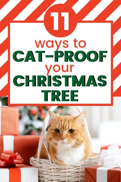 Christmas Decor Ideas When You Have Cats, Cat Proof Xmas Tree, Cat Proof Decorations, Cat Friendly Christmas Trees, Christmas Tree Ideas For Cat Owners, Christmas Tree Ideas Cat Proof, Keeping Cats Out Of Christmas Tree, Cat Proofing Christmas Tree, How To Cat Proof Your Christmas Tree