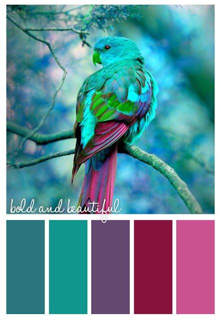 Teal Color Palette, Teal Color Schemes, Color Schemes Colour Palettes, Kitchen Colour Schemes, Palette Ideas, Jewel Tone Colors, Design Seeds, Color Palette Design, Color Balance