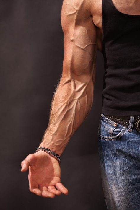 Forearm Muscle Anatomy, Forearm Anatomy, Arm Veins, Hand Veins, Arm Anatomy, 남성 근육, Forearm Muscles, Forearm Workout, Man Anatomy