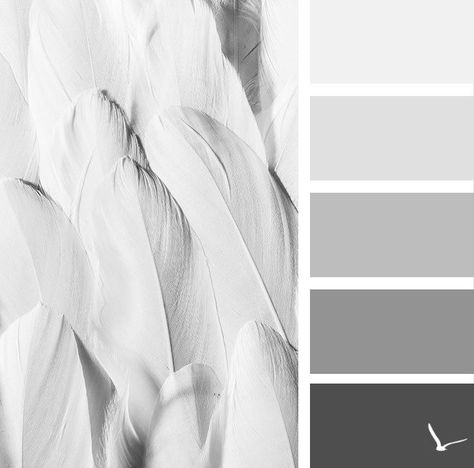 Color Schemes Colour Palettes, Grey Color Palette, Modern Color Palette, Grey Color Scheme, Bedroom Color Schemes, Design Industrial, Gray Interior, Blog Design, Feel Inspired