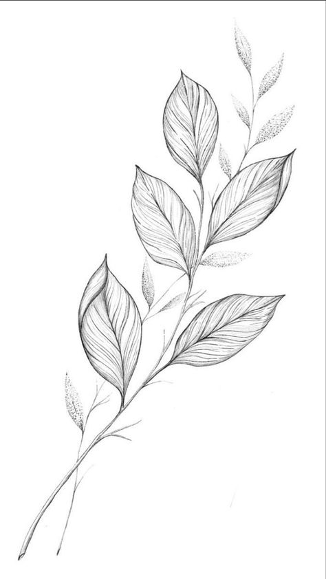 Vine Sketch Leaves, Fineline Nature Tattoo, Leaves Design Drawing, Leave Tattoo Ideas, Vine Drawing Tattoo, Floral Vine Drawing, Flower And Leaves Tattoo, Leaf Branch Tattoo, Leaves Tattoo Design