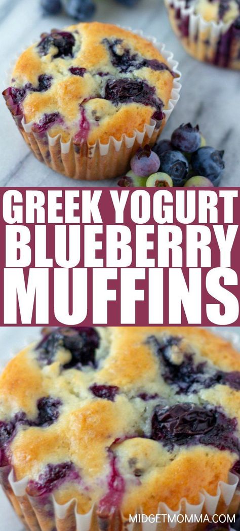 Blueberry Oatmeal Yogurt Muffins, Blueberry And Yogurt Muffins, Oatmeal Blueberries Muffins, Healthy Dessert Recipes Blueberry, Oatmeal And Greek Yogurt Recipes, Best Healthy Blueberry Muffins, Muffin Recipes Greek Yogurt, Health Blueberry Muffins, Muffin Recipe With Yogurt