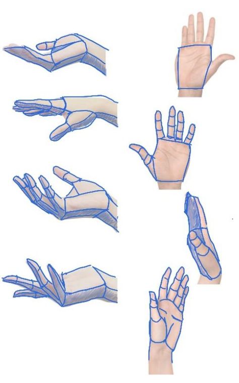 Hand Drawing How To, How To Drawing Hands, Hands Study Drawing, How To Draw Palms Hands, Hand Study Sketch, Hand Tourtial, Two Hands Drawing Reference, How To Make Hands Drawing, Hand Different Angles