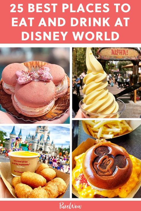 Best Disney World Food, Food Disney, Disney Cute, Disneyland Food, Disney World Vacation Planning, Disney Treats, Disney World Food, The Aristocats, Disney Snacks