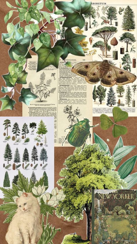 #moodboard #aesthetics #trees #plants #green Plants Poster Aesthetic, Mood Board Nature, Nature Journal Aesthetic, Collage Plants Architecture, Plant Aesthetic Collage, Forest Collage Wallpaper, Botanist Aesthetic, Botany Aesthetic, Collage Plants