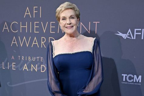 Julie Andrews Says 'It's Probably Not Going to Be Possible' for Her to Star in 'Princess Diaries 3' Princess Diaries 3, Mia Thermopolis, Princess Diaries 2, Diary Movie, The Princess Diaries, Princess Star, Turner Classic Movies, Sandra Oh, Julie Andrews