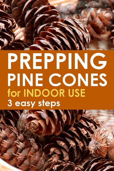 Mini Pine Cones, Pinecone Crafts Christmas, Pinecone Crafts, Pine Cone Art, Diy Pinecone, Pine Cone Decorations, Cones Crafts, Pine Cone Crafts, Nature Crafts