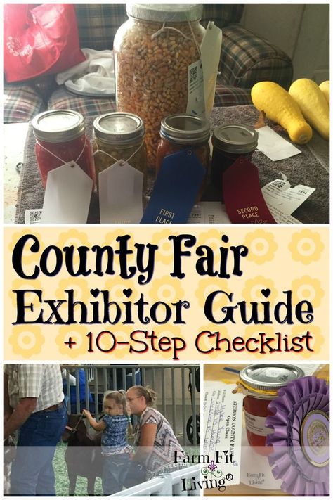 4h Exhibit Ideas, County Fair Exhibit Ideas, County Fair Projects Ideas, 4 H Fair Projects, 4 H Project Ideas, County Fair Crafts, County Fair Projects, County Fair Theme, 4h Fair