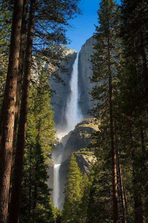 Enchanted Places, Yosemite Falls, Have Inspiration, Beautiful Waterfalls, Alam Yang Indah, Yosemite National, Elba, Yosemite National Park, Pretty Places