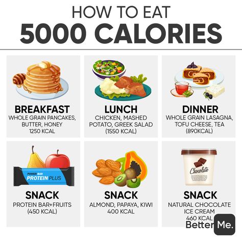 Eating 3000 calories a day is quite effective if you want to gain weight? Are you looking to add a few pounds? Read on to know all there is about this meal plan #diet #dieting #dietfood #dietplan #dietitian #diets #diettips #nutrition #nutritionist #nutritiontips #nutritionplan #nutritioniskey #nutritiontip #NutritionGoals #nutritions #healthy #health #healthyfood #healthylifestyle #weightloss #weightlossjourney #weightlossgoals #mealplanning #calories #lowcaloriediet #mandiet #manweightloss Calories Food To Gain Weight Meals, Diet Meal Plan To Gain Muscle, Meals For Calorie Surplus, Meal Plan 3000 Calories, What To Eat In A Day To Gain Muscle, Fatty Foods To Gain Weight Tips, How To Eat 3000 Calories A Day, 3000 Calorie Meals, Snacks To Gain Weight Tips