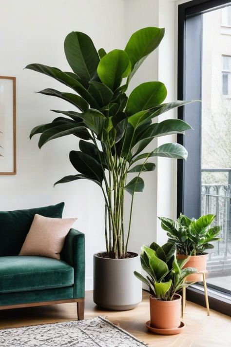 Looking to add some greenery to your home but worried about keeping them alive? Check out our selection of the best indoor plants that are hard to kill. These unkillable plants are perfect for beginners or anyone with a busy schedule. Discover the easiest plants for indoors and the best low-maintenance indoor plants that will thrive with minimal care. Say goodbye to the fear of plant parenting and hello to beautiful, thriving houseplants in your space! Best Large Indoor Plants, Indoor Plants Large, Best Plants For House, Easy Indoor Trees, Indoor Plants Australia, Greenery Plants, Balcony Plants Decor, Indoor Plants For Small Spaces, Indoor Plants For Office