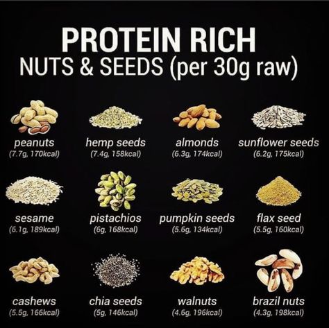 These are high protein nuts and seeds. Follow my Pinterest account for more great content! Protein Rich Food, Ayurveda Lifestyle, Rich Food, Healthy Nuts, Food Health Benefits, Healthy Weight Gain, Protein Rich Foods, Vegan Nutrition, Nuts & Seeds