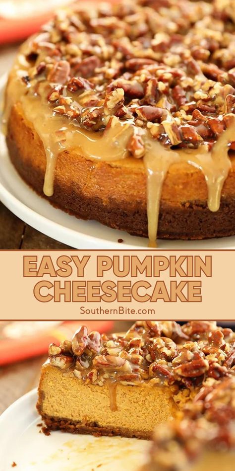 Check out this new take on cheesecake that swaps out the basic graham cracker crust for a gingersnap cookie crust, then tops that off with a caramel pecan topping. This easy and delicious recipe brings together the best of pumpkin, cheesecake, and pecan pie in one delicious dessert that's sure to be a hit at your next gathering! Pumpkin Cheesecake With Candied Pecans, Maple Pecan Pumpkin Cheesecake, Pumpkin Cheesecake With Streusel Topping, Cheesecake With Walnut Crust, The Best Pumpkin Cheesecake Recipe, Pumpkin Cheesecake Pound Cake, Pumpkin Cheesecake With Caramel Sauce, Graham Cracker Crust Pumpkin Cheesecake, Pumpkin Cheesecake Pioneer Woman