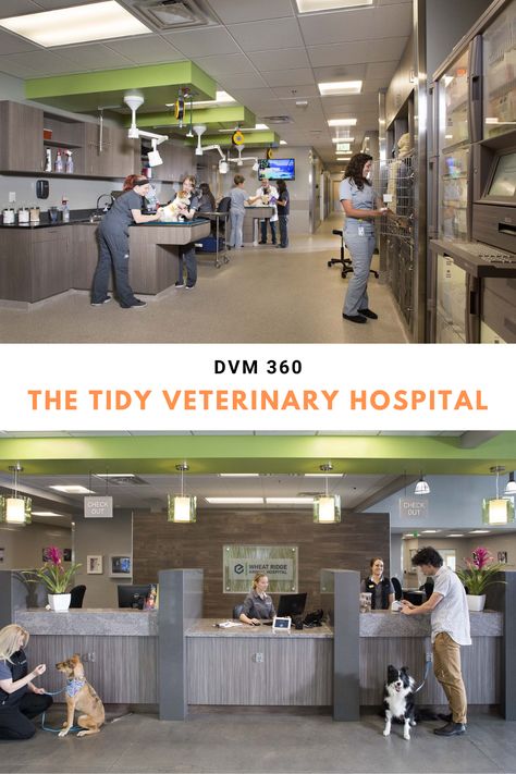 The Tidy Veterinary Hospital - Animal Arts Design #animalartsarch #animalartsdesignstudios #veterinaryhospitaldesign #veterinarymedicine #WheatRidgeAnimalHospital #dvm360 Veterinary Organization, Vet Clinic Reception Area, Vet Clinic Organization, Vet Clinic Design, Veterinary Clinic Design, Hospital Quotes, Vet Hospital Ideas, Modern Veterinary Clinic Hospital Design, Animal Hospital Design