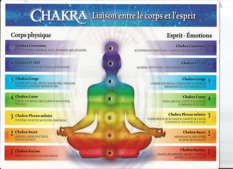 Bow Legged Correction, Chakra Yoga, Seven Chakras, Types Of Yoga, Les Chakras, Kundalini Yoga, Chakra Meditation, 7 Chakras, Yoga Videos