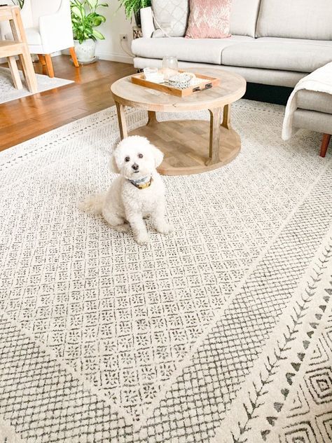 When decorating your room, you may be wondering what color rug goes with a beige couch. The neutrality of beige means it can go with light or dark col... | Fill Your Floor with Farmhouse Fresh Fashion Rugs For Beige Couch, Living Room Diy Decor, Taupe Couch, Beige Couch Living Room, Living Room Makeover Ideas, Cream Couch, Rug Boutique, Light Gray Couch, White Lounge Chair