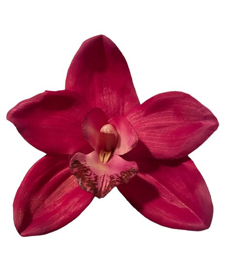 This is a beautiful pop of bright color for your hair!  This cymbidium orchid flower is a beautiful shade of bright dark pink.  This flower hair accessory is on an alligator hair clip.  This flower is 3.5 inches wide. Orchid Hair, Cymbidium Orchid, Flower Icons, Cymbidium Orchids, Nothing But Flowers, Hair Flower, Flower Therapy, Beautiful Orchids, Arte Inspo