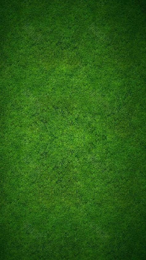 Texture For Pixellab, Thamnail Background Images, Baground Photo Hd, Herbal Background, Green Colour Background, Green Bg, Green Texture Background, Garden Lighting Diy, Free Green Screen Backgrounds