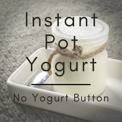 Dairy Free Yogurt Instant Pot, Coconut Yogurt Instant Pot, Dairy Free Yogurt Recipe, Instant Pot Yogurt Recipe, Homemade Coconut Yogurt, Low Carb Yogurt, Homemade Yogurt Recipes, Make Your Own Yogurt, Instant Pot Yogurt