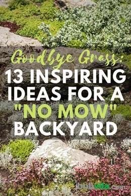 No Grass Yard, Grass Alternatives, Grass Alternative, Small Yard Landscaping, No Grass Backyard, Lawn Alternatives, Cheap Backyard, Hillside Landscaping, Grasses Landscaping