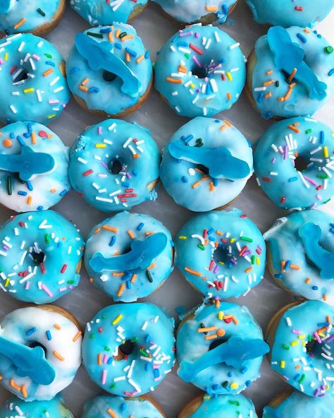 Blue Donut Birthday Party, Summer Donuts Ideas, Apartment Meals, Donut Icing, Fiesta Bluey, Donut Ideas, Donut Decorating Ideas, Class Treats, Blue Donuts